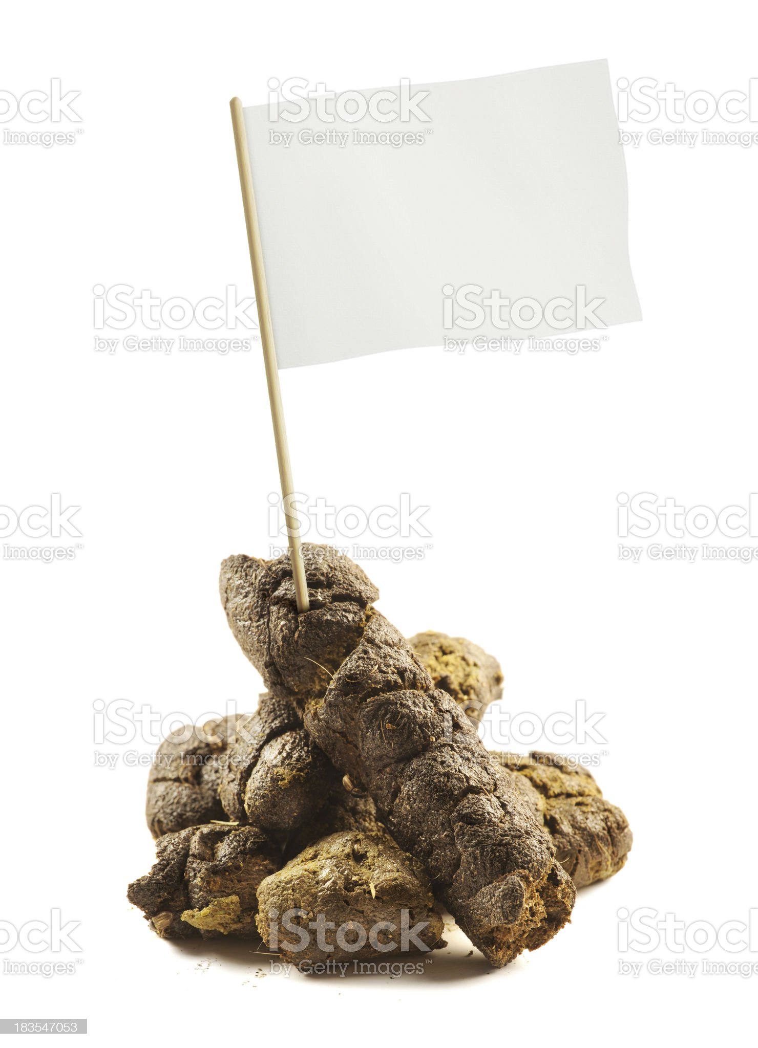 poo with flag royalty-free stock photo